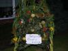 krone_bringen_2012_20_t1.jpg
