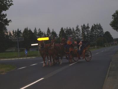 krone_bringen_2012_28.jpg