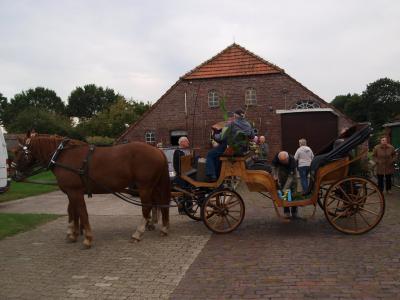 krone_bringen_2012_44.jpg