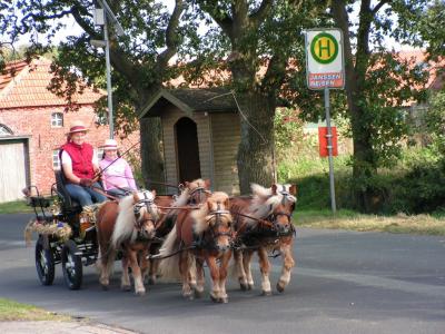 erntefest_2005_118.jpg