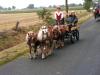 erntefest_2005_196_t1.jpg