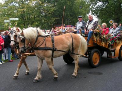 erntefest_2005_233.jpg