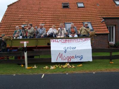 ernte_2008_140.jpg