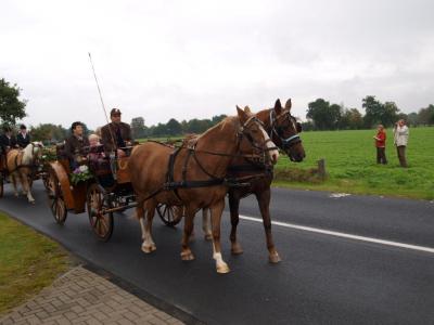 ernte_2008_143.jpg