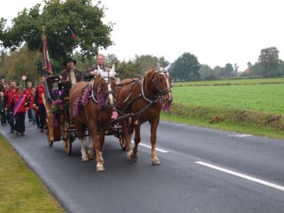 ernte_2008_144.jpg