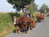 erntefest_2011_152_t1.jpg