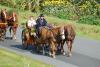 erntefest_2011_189_t1.jpg