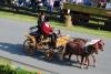erntefest_2011_192_t1.jpg