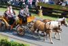 erntefest_2011_193_t1.jpg