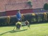 erntefest_2011_220_t1.jpg