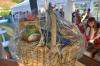 sommerfest_2013_163_medium_t1.jpg