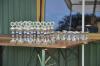sommerfest_2013_203_medium_t1.jpg