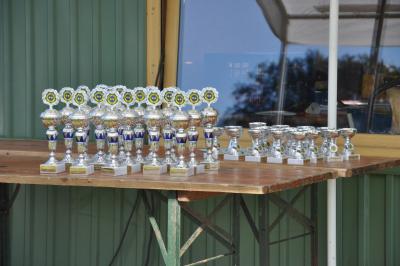 sommerfest_2013_203_medium.jpg