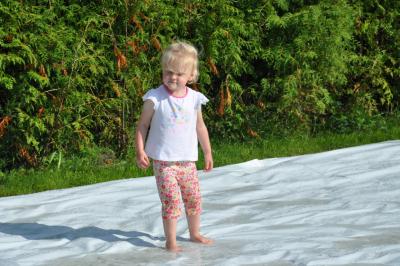 sommerfest_2013_212_medium.jpg