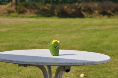 sommerfest_2013_215_medium.jpg