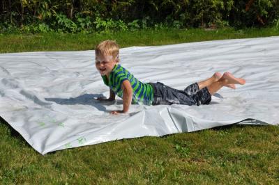 sommerfest_2013_235_medium.jpg