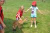 sommerfest_2013_248_medium_t1.jpg