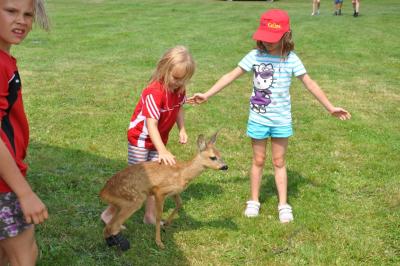 sommerfest_2013_248_medium.jpg