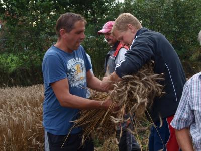 getreide_2013_113.jpg