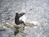 wasserski_hooksiel_2012_118_t1.jpg