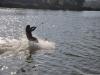 wasserski_hooksiel_2012_143_t1.jpg
