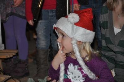 altennachmittag_2013_122.jpg