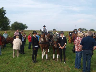 erntekorso_2014121.jpg