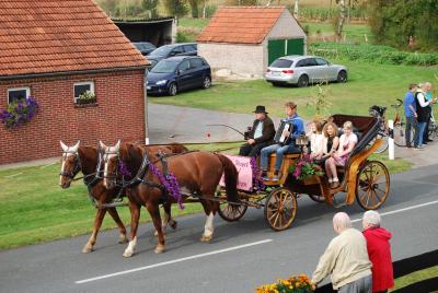 erntekorso_2014183.jpg