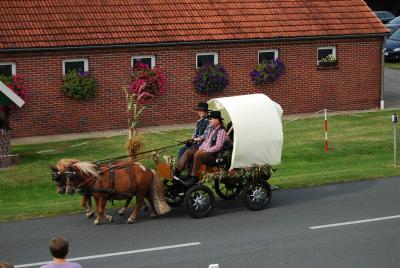 erntekorso_2014186.jpg