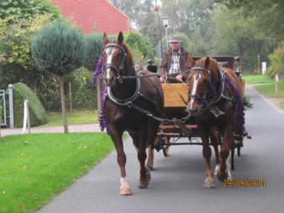 abholung_krone_2014_19.jpg