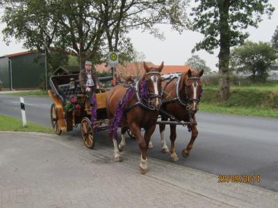 abholung_krone_2014_23.jpg