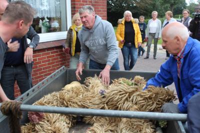 krone_bringen_2018116_1.jpg